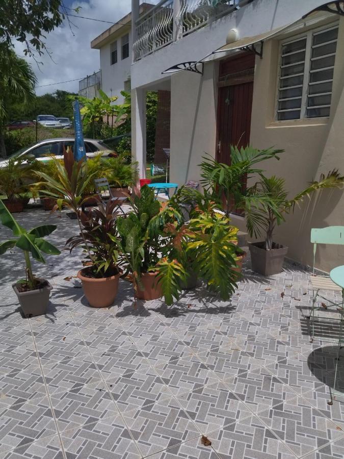 Villa Siber بورت لويس المظهر الخارجي الصورة