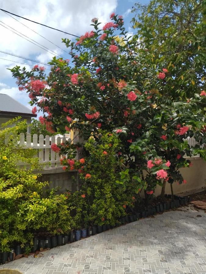 Villa Siber بورت لويس المظهر الخارجي الصورة
